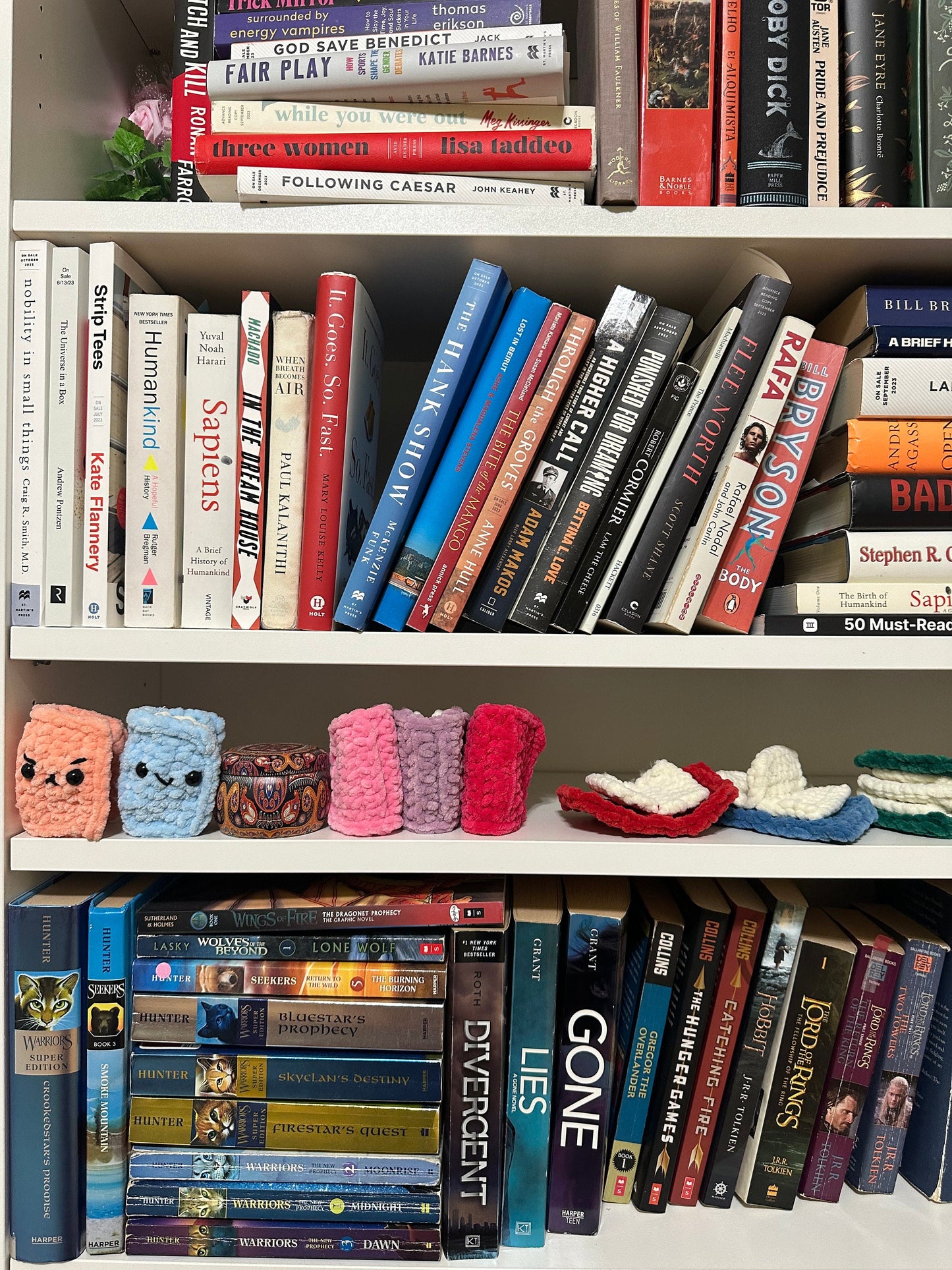 No Sew Crochet Pocket Book Plushie Pattern, with Video (PDF Pattern)