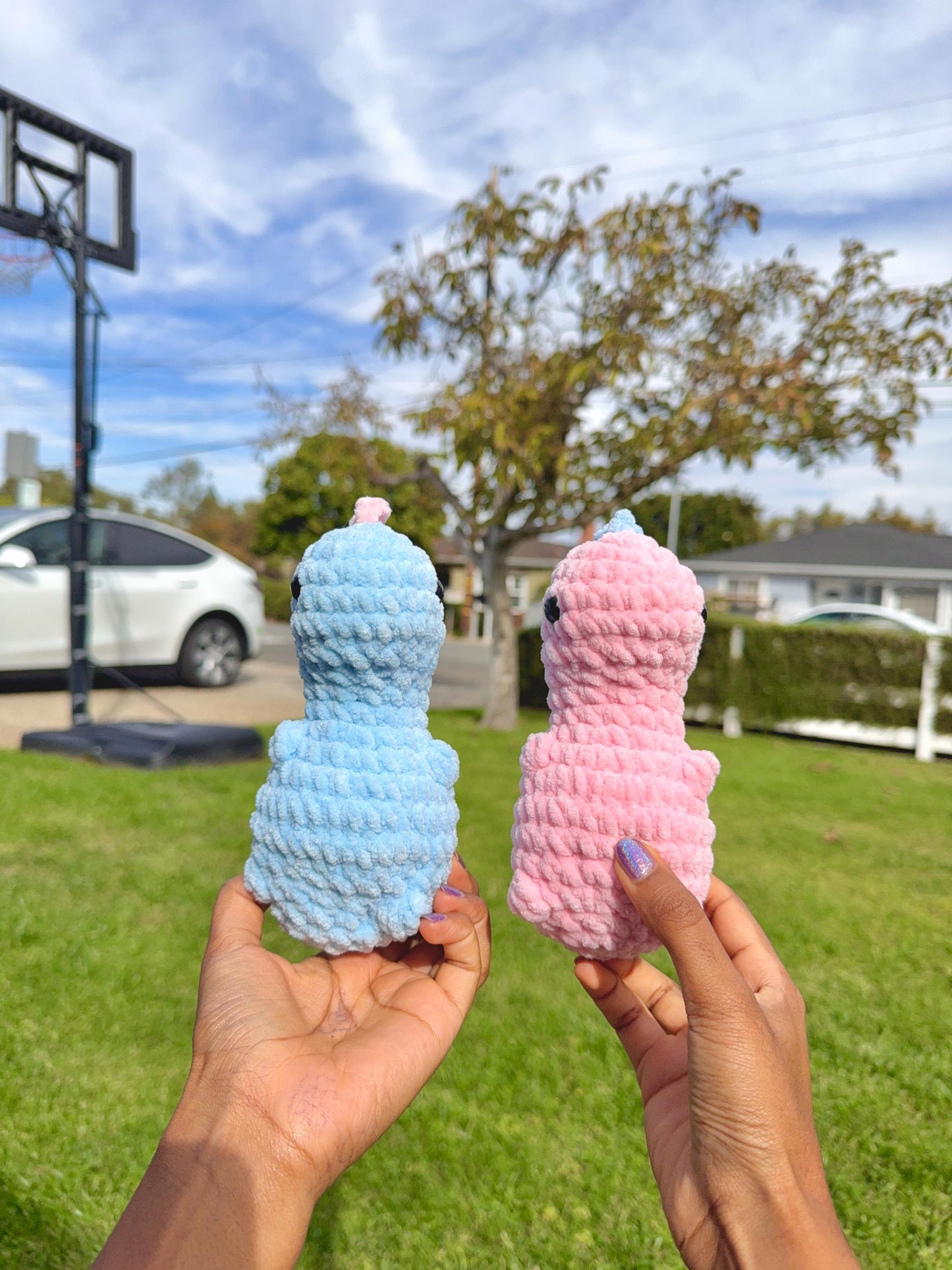 Customizable Crochet T-Rex Plushie, Amigurumi Dinosaur